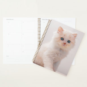 Kutest Baby Animals Blue Eye Kitten Planner
