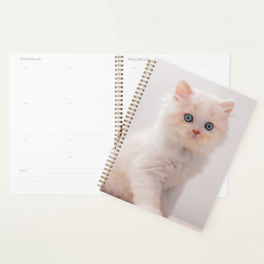 Kutest Baby Animals | Blue Eye Kitten Planner (Display)