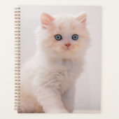 Kutest Baby Animals | Blue Eye Kitten Planner (Voorkant)