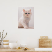 Kutest Baby Animals | Blue Eye Kitten Poster (Keuken)