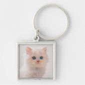 Kutest Baby Animals | Blue Eye Kitten Sleutelhanger (Voorkant)