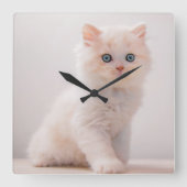 Kutest Baby Animals | Blue Eye Kitten Vierkante Klok (Voorkant)