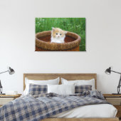 Kutest Baby Animals | Blue Eyed Kitten Canvas Afdruk (Insitu (Slaapkamer))