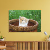 Kutest Baby Animals | Blue Eyed Kitten Canvas Afdruk (Insitu (Woonkamer))