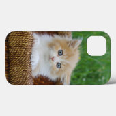Kutest Baby Animals | Blue Eyed Kitten Case-Mate iPhone Case (Achterkant (horizontaal))