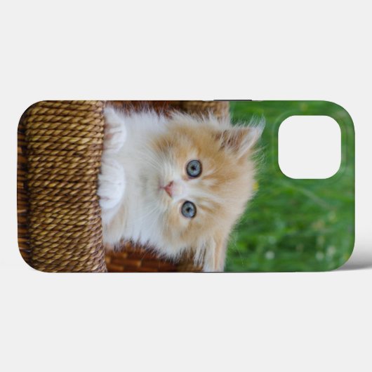 Kutest Baby Animals | Blue Eyed Kitten Case-Mate iPhone Case (Achterkant (horizontaal))