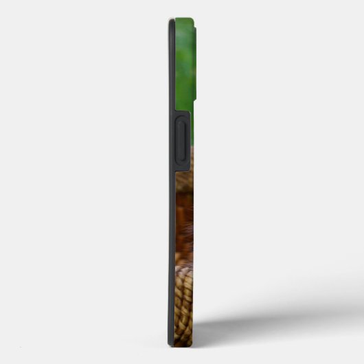 Kutest Baby Animals | Blue Eyed Kitten Case-Mate iPhone Case (Achterkant / Rechts)