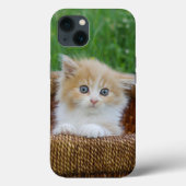 Kutest Baby Animals | Blue Eyed Kitten Case-Mate iPhone Case (Achterkant)