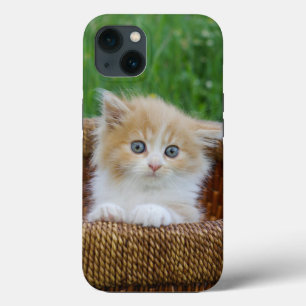 Kutest Baby Animals   Blue Eyed Kitten Case-Mate iPhone Case