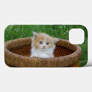 Kutest Baby Animals Blue Eyed Kitten Case-Mate iPhone Case