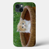 Kutest Baby Animals | Blue Eyed Kitten Case-Mate iPhone Case (Achterkant)