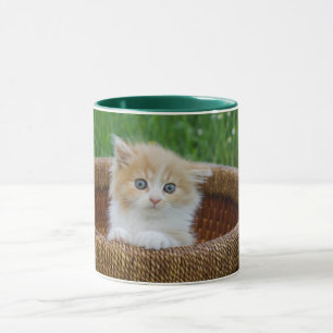 Kutest Baby Animals Blue Eyed Kitten Mok