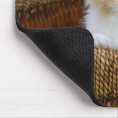 Kutest Baby Animals | Blue Eyed Kitten Muismat (Hoek)