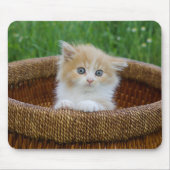 Kutest Baby Animals | Blue Eyed Kitten Muismat (Voorkant)