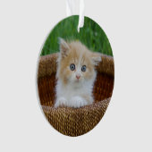 Kutest Baby Animals | Blue Eyed Kitten Ornament (voorkant)
