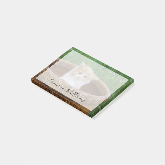 Kutest Baby Animals | Blue Eyed Kitten Post-it® Notes (Schuin)