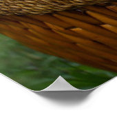 Kutest Baby Animals | Blue Eyed Kitten Poster (Hoek)