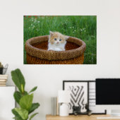 Kutest Baby Animals | Blue Eyed Kitten Poster (Thuiskantoor)