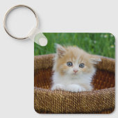 Kutest Baby Animals | Blue Eyed Kitten Sleutelhanger (Voorkant)