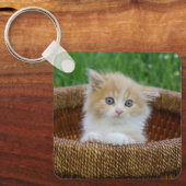 Kutest Baby Animals | Blue Eyed Kitten Sleutelhanger (Voorkant)