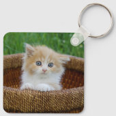Kutest Baby Animals | Blue Eyed Kitten Sleutelhanger (Achterkant)