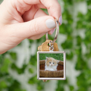 Kutest Baby Animals Blue Eyed Kitten Sleutelhanger