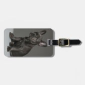 Kutest Baby Animals | Blue French Bulldog Puppy Bagagelabel (Voorkant horizontaal)