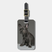 Kutest Baby Animals | Blue French Bulldog Puppy Bagagelabel (Voorkant verticaal)