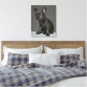 Kutest Baby Animals | Blue French Bulldog Puppy Canvas Afdruk (Insitu (Slaapkamer))