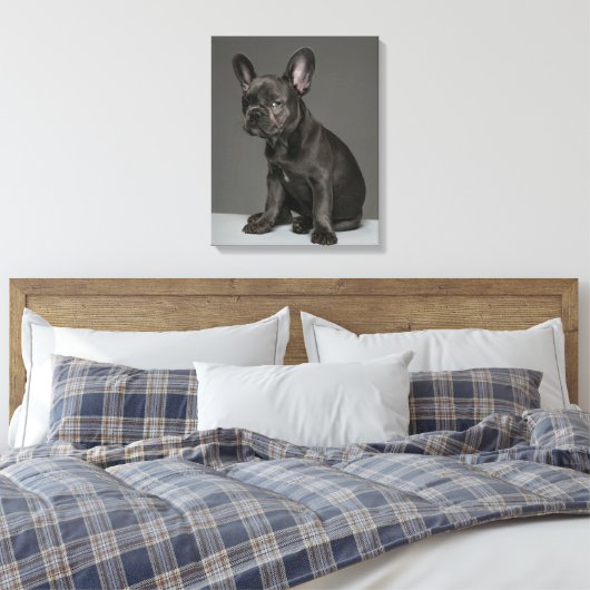 Kutest Baby Animals | Blue French Bulldog Puppy Canvas Afdruk (Insitu (Slaapkamer))