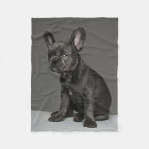 Kutest Baby Animals   Blue French Bulldog Puppy Fleece Deken
