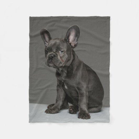 Kutest Baby Animals | Blue French Bulldog Puppy Fleece Deken (Voorkant)