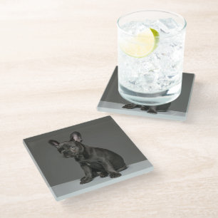 Kutest Baby Animals   Blue French Bulldog Puppy Glazen Onderzetter
