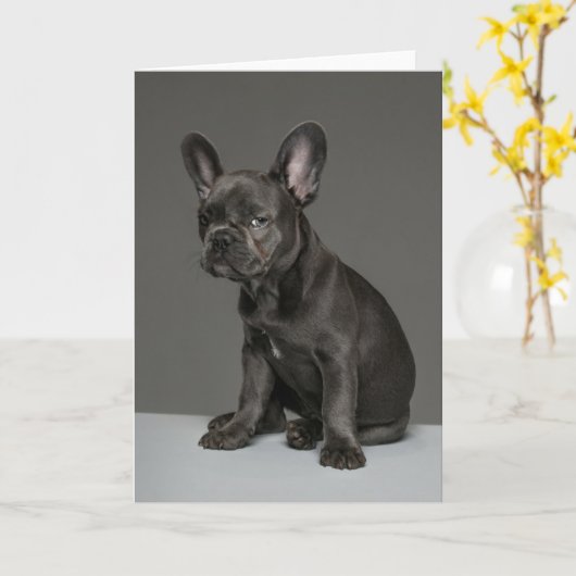 Kutest Baby Animals | Blue French Bulldog Puppy Kaart (Gele Bloem)