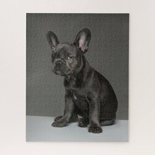Kutest Baby Animals | Blue French Bulldog Puppy Legpuzzel (Verticaal)