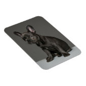Kutest Baby Animals | Blue French Bulldog Puppy Magneet (Rechterzijde)