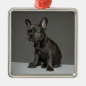 Kutest Baby Animals | Blue French Bulldog Puppy Metalen Ornament (Voorkant)