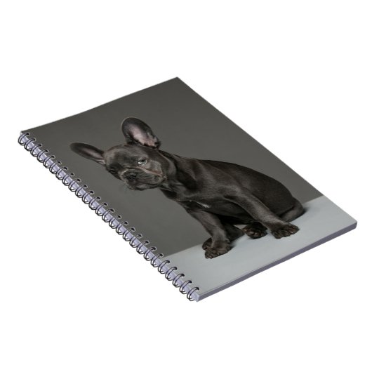 Kutest Baby Animals | Blue French Bulldog Puppy Notitieboek (Rechterzijde)