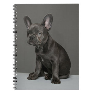 Kutest Baby Animals   Blue French Bulldog Puppy Notitieboek