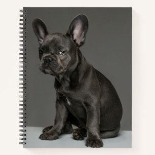 Kutest Baby Animals   Blue French Bulldog Puppy Notitieboek