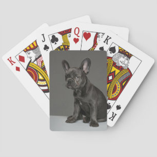 Kutest Baby Animals   Blue French Bulldog Puppy Pokerkaarten