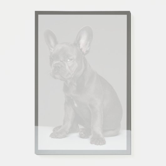 Kutest Baby Animals | Blue French Bulldog Puppy Post-it® Notes (Voorkant)