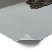 Kutest Baby Animals | Blue French Bulldog Puppy Poster (Hoek)