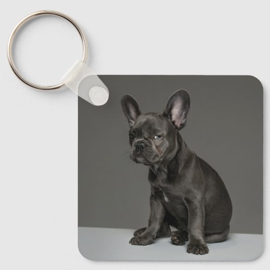 Kutest Baby Animals | Blue French Bulldog Puppy Sleutelhanger (Voorkant)