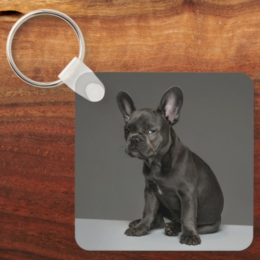 Kutest Baby Animals | Blue French Bulldog Puppy Sleutelhanger (Voorkant)