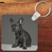 Kutest Baby Animals | Blue French Bulldog Puppy Sleutelhanger (Achterkant)