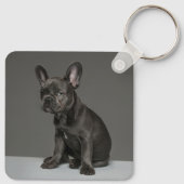 Kutest Baby Animals | Blue French Bulldog Puppy Sleutelhanger (Achterkant)