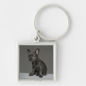 Kutest Baby Animals | Blue French Bulldog Puppy Sleutelhanger (Voorkant)