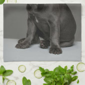 Kutest Baby Animals | Blue French Bulldog Puppy Theedoek (Gevouwen)