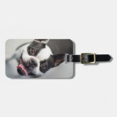 Kutest Baby Animals | Boston Bulldog Smile Bagagelabel (Voorkant horizontaal)